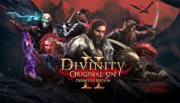 Cover van Divinity: Original Sin 2 - Divine Edition