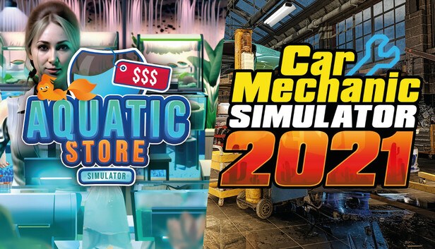 Car Mechanic in Aquatic Store cover art