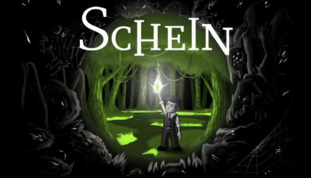 Cover van Schein