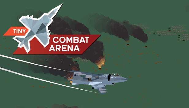 Coverbillede til Tiny Combat Arena