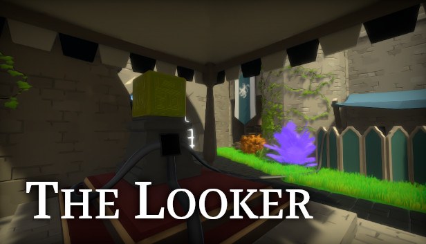 The Looker cover art