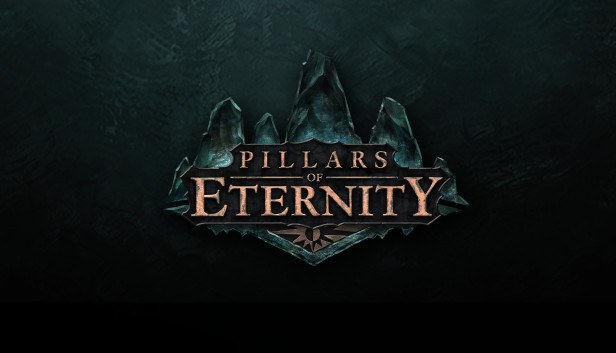 Cover van Pillars of Eternity: Hero Edition